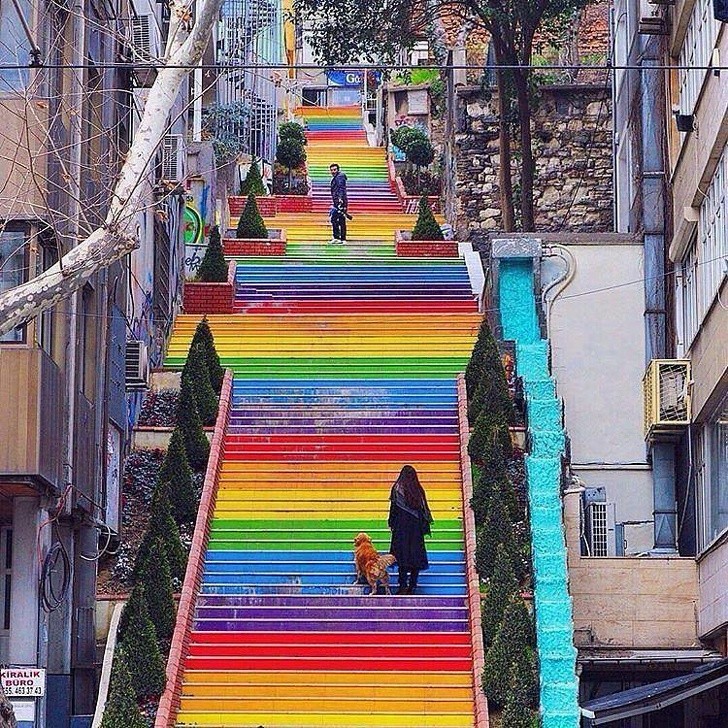 Ảnh: BrightSide Ảnh: BrightSide