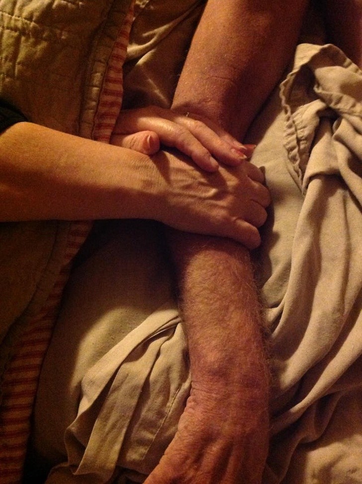 Ảnh: BrightSide Ảnh: BrightSide