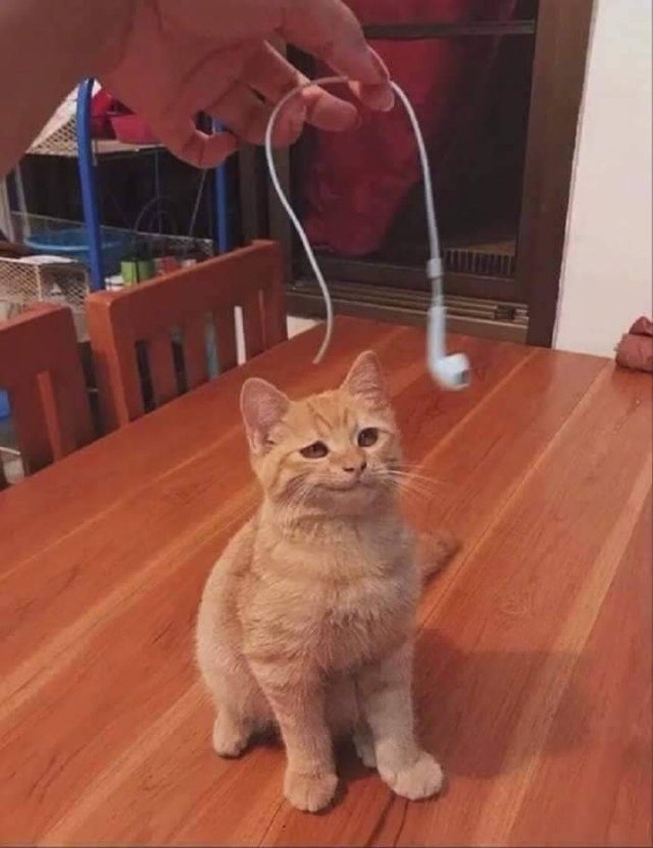 Ảnh: BrightSide Ảnh: BrightSide