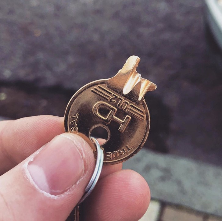 Ảnh: BrightSide Ảnh: BrightSide