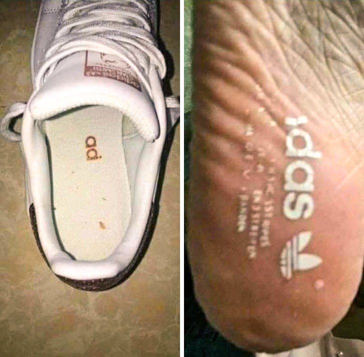 Ảnh: BrightSide Ảnh: BrightSide