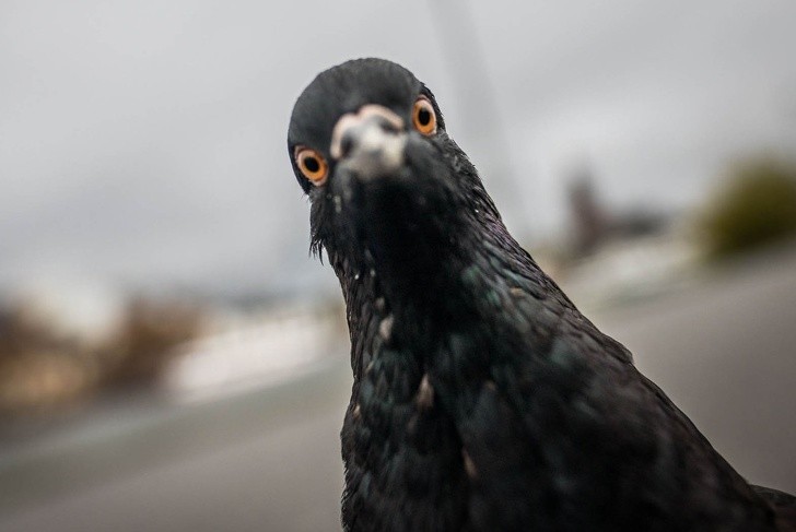 Ảnh: BrightSide Ảnh: BrightSide