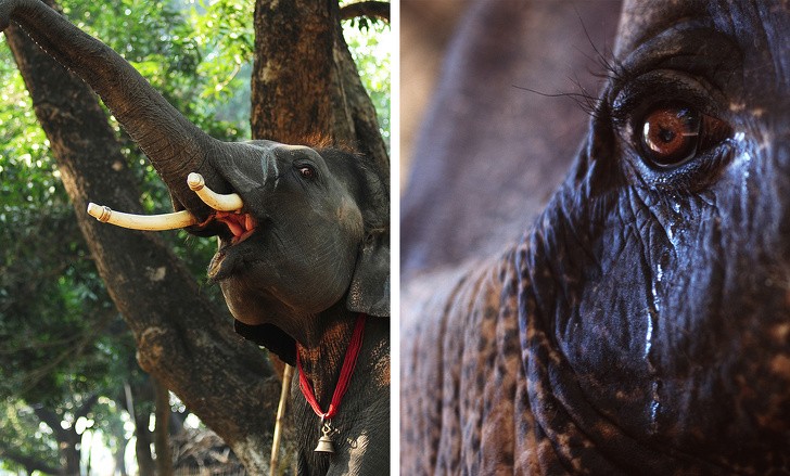 Ảnh: BrightSide Ảnh: BrightSide