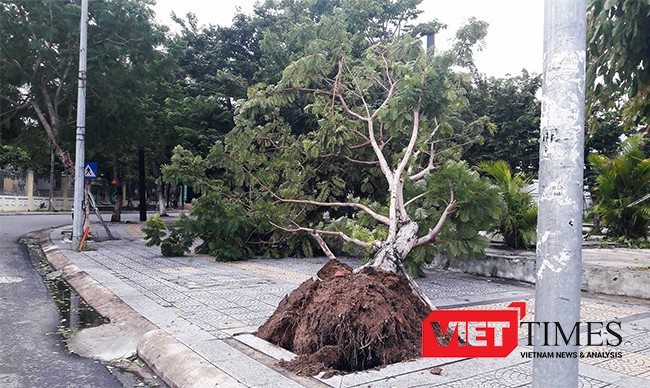 Đà Nẵng, bão số 4, ngập, đổ bộ, áp thấp, tàu thuyền, VietTimes