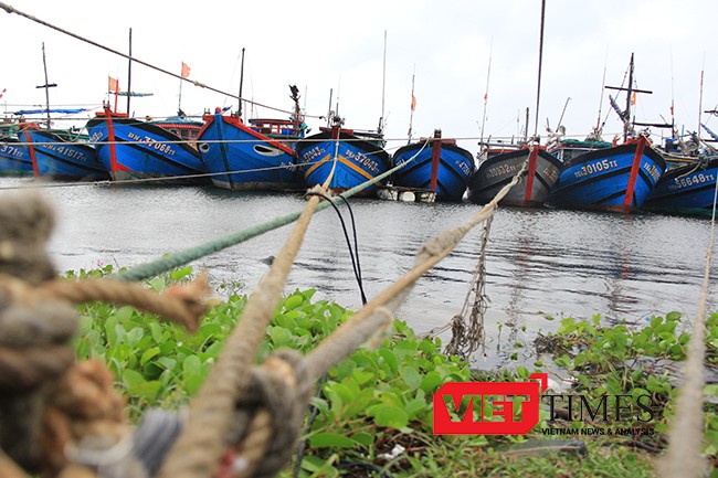 Tính đến thời điểm hiện tại, Đà Nẵng đã có hơn 1.700 phương tiện/6.500 lao động của các tỉnh đã vào neo đậu tại bờ.