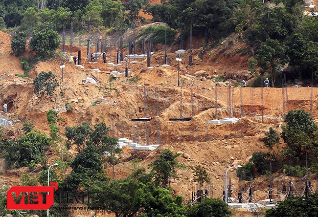 VietTimes, rừng Sơn Trà, bị đào xới, phá rừng, khu du lịch, Đà Nẵng