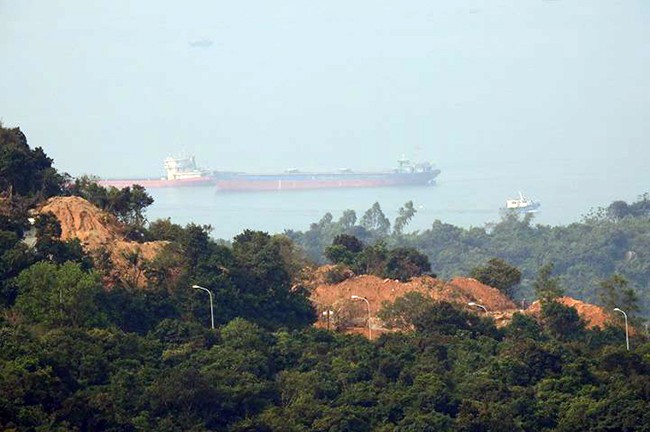 VietTimes, rừng Sơn Trà, bị đào xới, phá rừng, khu du lịch, Đà Nẵng