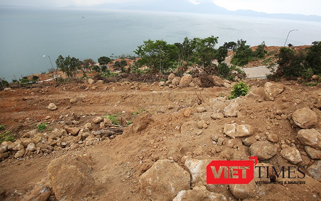 VietTimes, Đà Nẵng, Sơn Trà, phá rừng, Chủ tịch UBND TP, dự án, băm nát, biệt thự nghỉ dưỡng