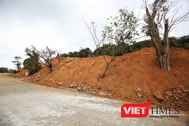 VietTimes, Đà Nẵng, Sơn Trà, phá rừng, Chủ tịch UBND TP, dự án, băm nát, biệt thự nghỉ dưỡng