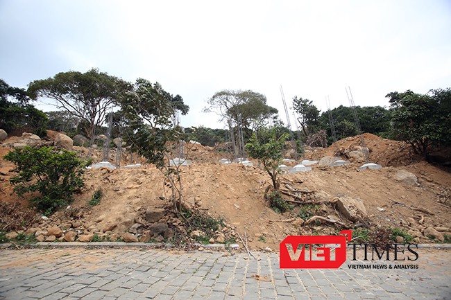 VietTimes, Đà Nẵng, Sơn Trà, phá rừng, Chủ tịch UBND TP, dự án, băm nát, biệt thự nghỉ dưỡng