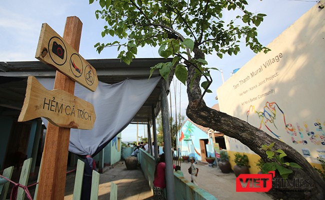Ngắm “con đường thuyền thúng” độc đáo ở Quảng Nam ảnh 39