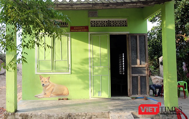 Ngắm “con đường thuyền thúng” độc đáo ở Quảng Nam ảnh 40