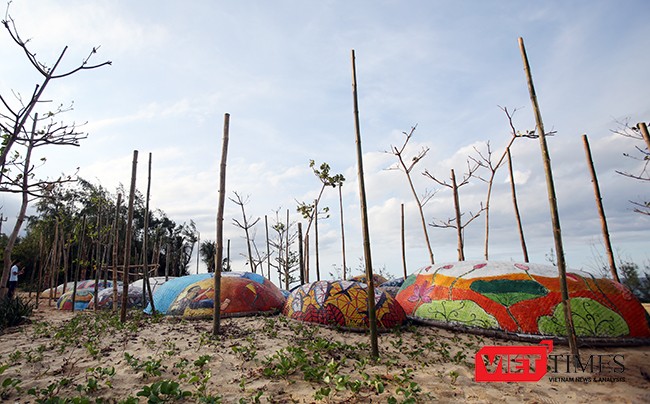 Ngắm “con đường thuyền thúng” độc đáo ở Quảng Nam ảnh 25