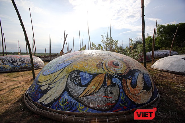 Ngắm “con đường thuyền thúng” độc đáo ở Quảng Nam ảnh 9