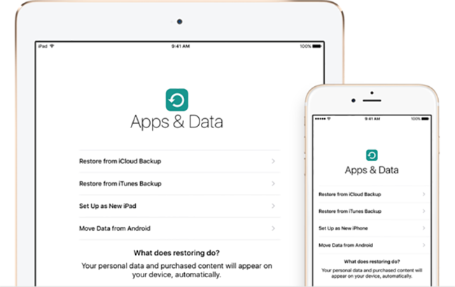 Khôi phục lại mọi thứ trong quá trình cài đặt.