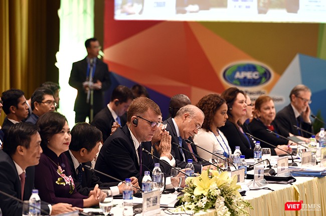 Dưới sự chủ trì của Bộ trưởng Bộ Tài chính Việt Nam, các Bộ trưởng Tài chính, Trưởng đoàn và đại biểu cấp cao đại diện của 21 nền kinh tế thành viên APEC đã cùng thảo luận các vấn đề liên quan đến Đầu tư dài hạn cho cơ sở hạ tầng; Chống xói mòn cơ sở thuế và chuyển dịch lợi nhuận; Tài chính và bảo hiểm rủi ro thiên tai;Và Tài chính bao trùm.
