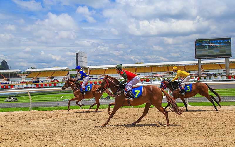 Đà nẵng sẽ có trường đua ngựa rộng 500.000m2 trên địa bàn phường Hòa Xuân, quận Cẩm Lệ (ảnh http://sporttotovietnam.com)