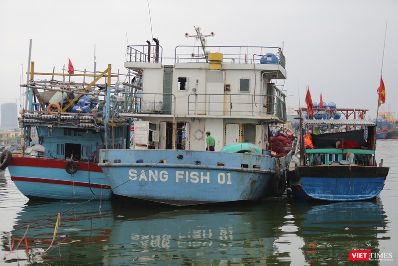 Sang Fish 01, con tàu cá vỏ thép định mệnh đã được chủ tàu Lê Văn Sang trả lại nơi sản xuất vì có quá nhiều lỗi.