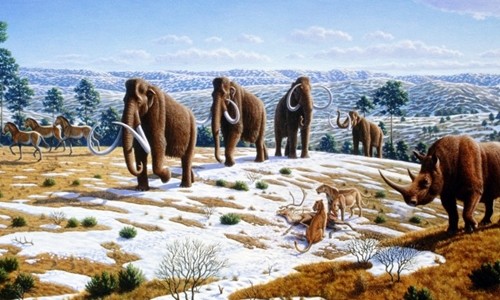 10 bí ẩn khoa học chưa thể lý giải ảnh 2