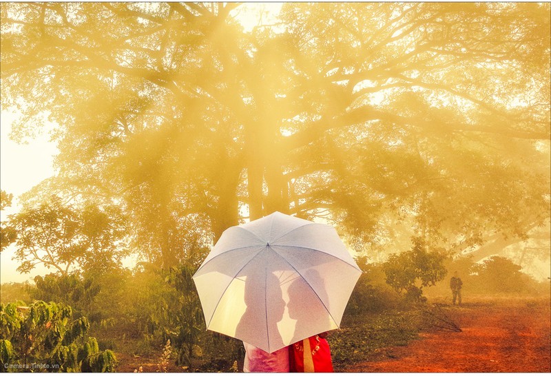 Mẹo giúp chụp ảnh đẹp hơn với điện thoại - Phần 1 ảnh 18