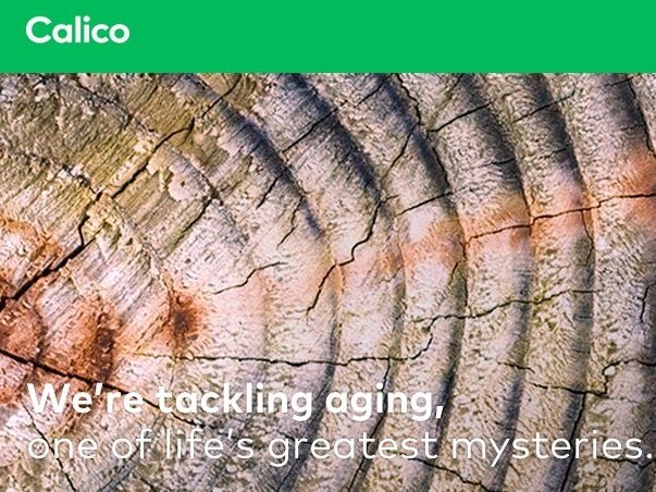 Calico, một công ty khác thuộc Google, có sứ mệnh chiến đấu chống lại sự lão hóa và tăng tuổi thọ con người.