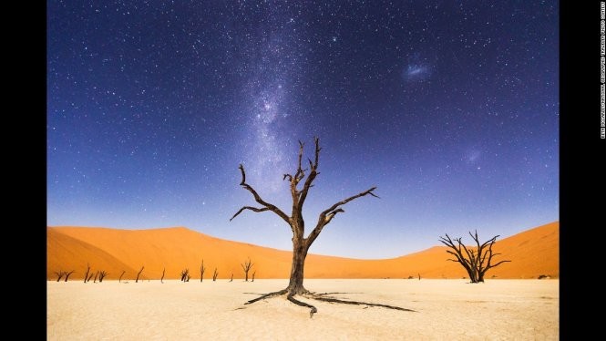 Khung trời bầu trời đêm ở Deadvlei thuộc Namibia. Ánh trăng đủ soi sáng những cồn cát phía xa xa, làm nổi bật lên cây Acacia erioloba 900 năm tuổi trơ trọi lá trong môi trường khô cằn - Ảnh đoạt giải khuyến khích của Beth McCarley/hạng mục Sense of place
