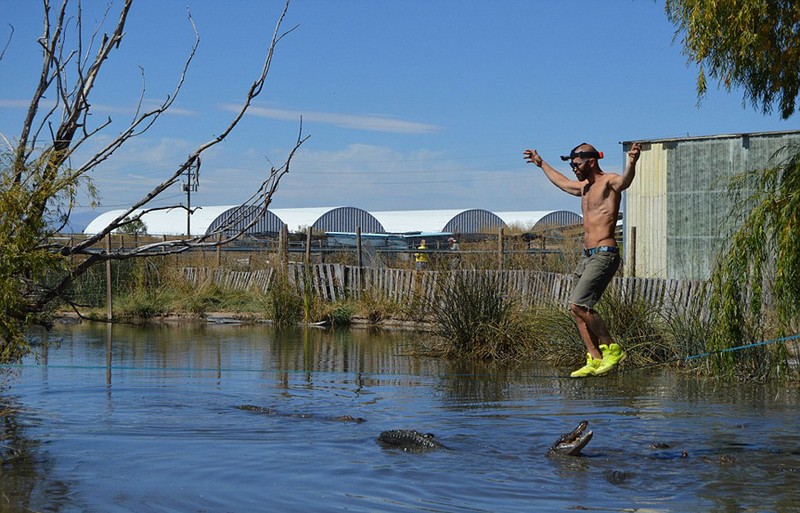 Đứng tim với màn biểu diễn trên dây thép vờn cá sấu ảnh 7