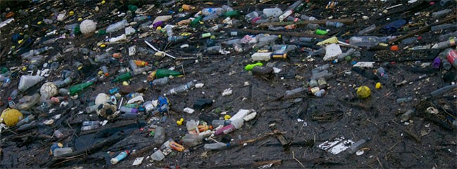 Thế giới đang tìm cách không sử dụng nhựa ảnh 1