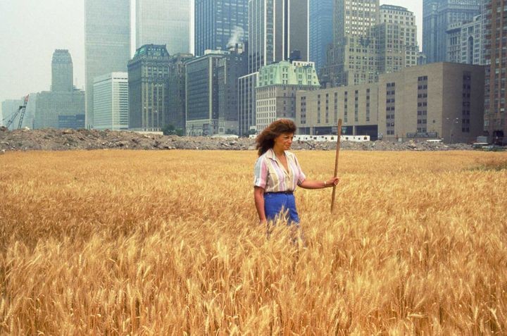 Manhattan Wheatfield