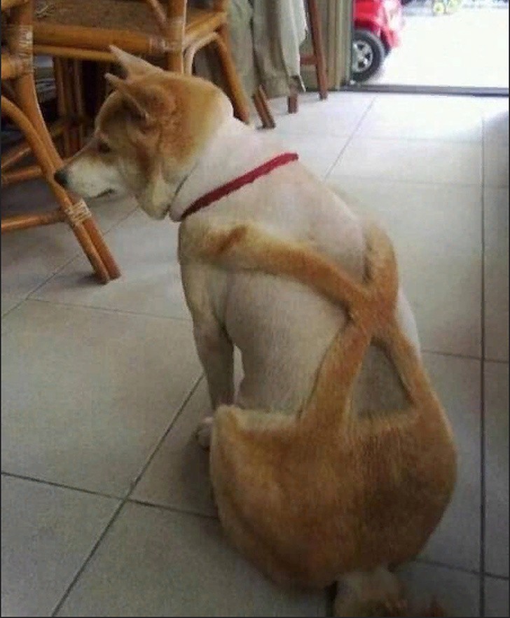 20 điều đặc biệt bạn chỉ có thể thấy ở Đức ảnh 6 20 điều đặc biệt bạn chỉ có thể thấy ở Đức ảnh 6