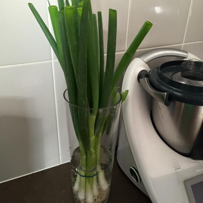 10 mẹo hàng đầu giúp thực phẩm tươi lâu hơn ảnh 8