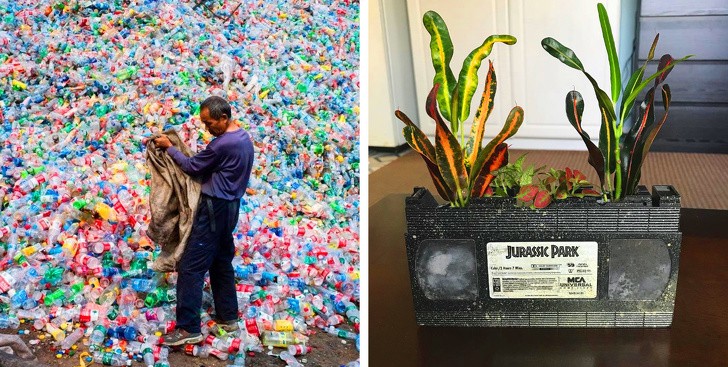 9 điều chúng ta có thể làm để giảm bớt biến đổi khí hậu ảnh 8