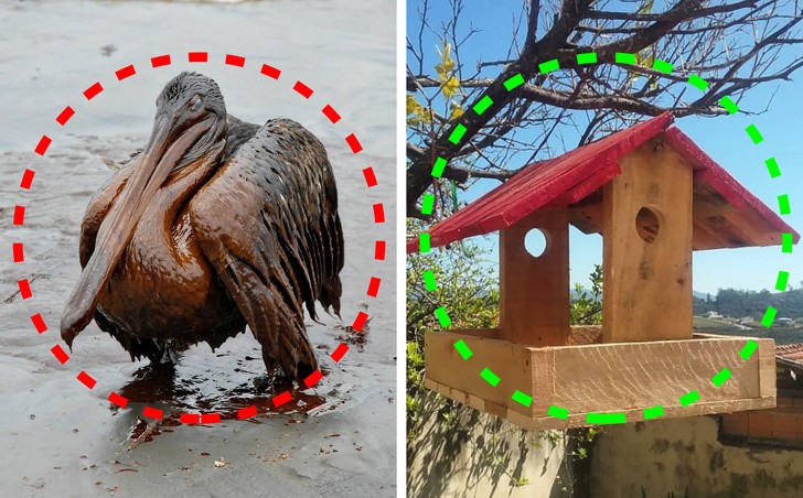 9 điều chúng ta có thể làm để giảm bớt biến đổi khí hậu ảnh 6