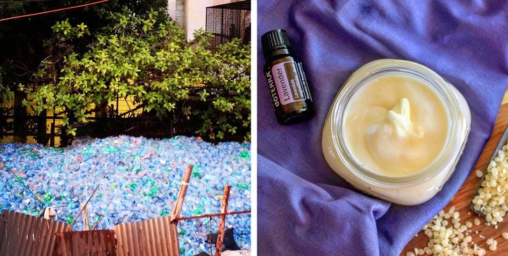 9 điều chúng ta có thể làm để giảm bớt biến đổi khí hậu ảnh 5