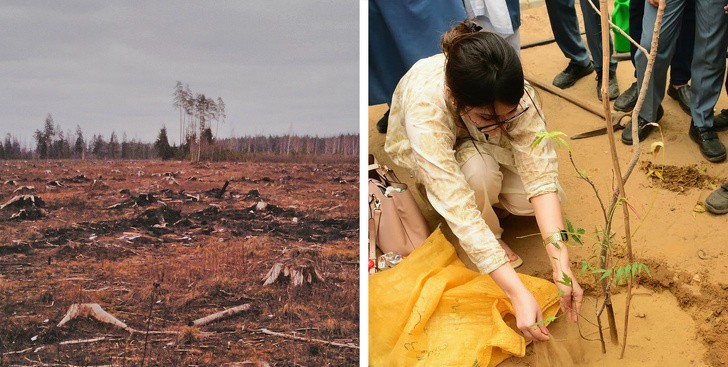 9 điều chúng ta có thể làm để giảm bớt biến đổi khí hậu ảnh 4