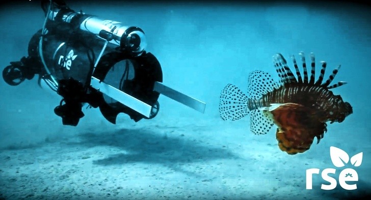 9 điều chúng ta có thể làm để giảm bớt biến đổi khí hậu ảnh 2