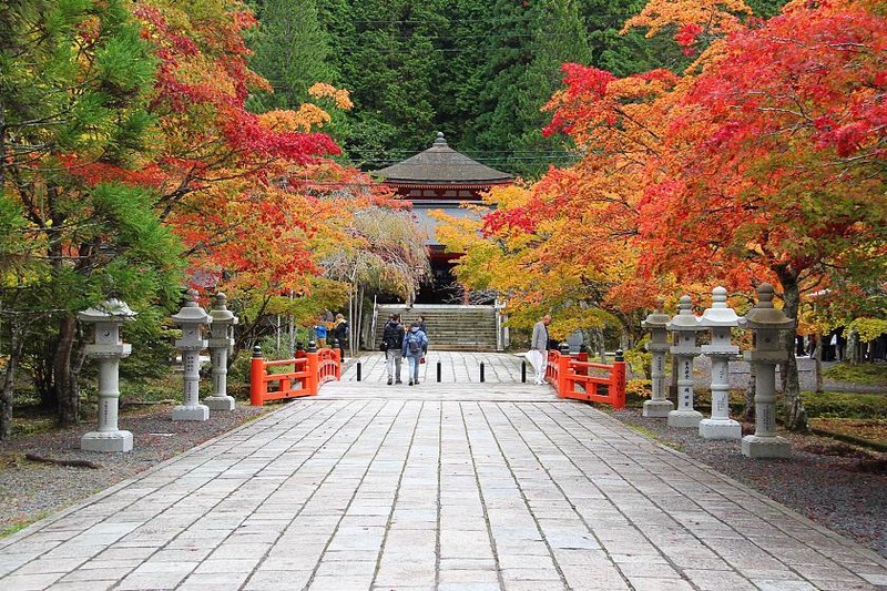 Là nơi sinh của Phật giáo Shingon, đây là ngôi nhà của hơn 100 ngôi chùa