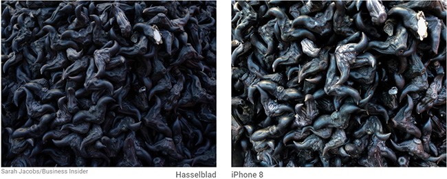 So sánh đẳng cấp chụp hình giữa máy ảnh 9000 USD và iPhone 8 Plus ảnh 5