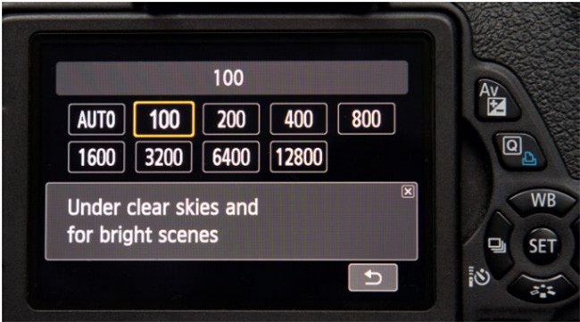 Tìm hiểu về độ nhạy sáng ISO trong nhiếp ảnh ảnh 3