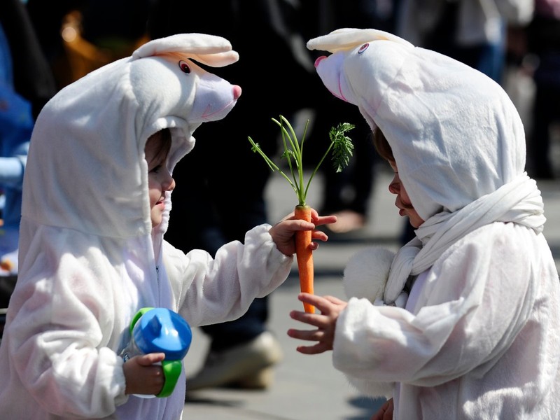 Top 50 trang phục Halloween “chất” nhất năm 2017  ảnh 5