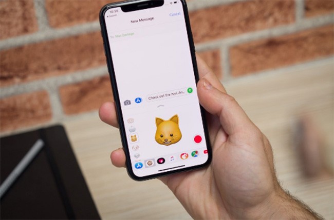 iPhone X: những điểm nhấn về thiết kế và tính năng  ảnh 8