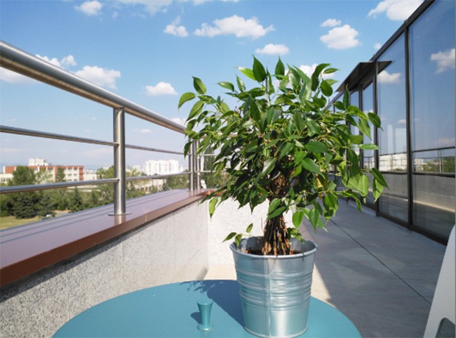 Đặt lên bàn cân camera của 10 smartphone hàng đầu hiện nay ảnh 13