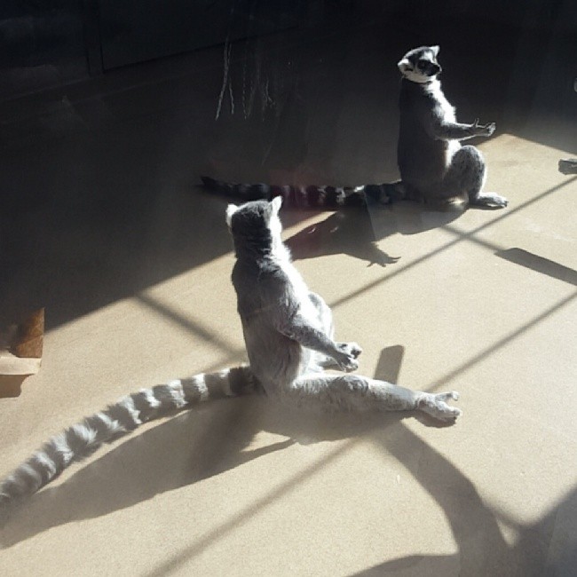 Khi cuối cùng thời tiết lại nắng sau thời gian dài lạnh buốt