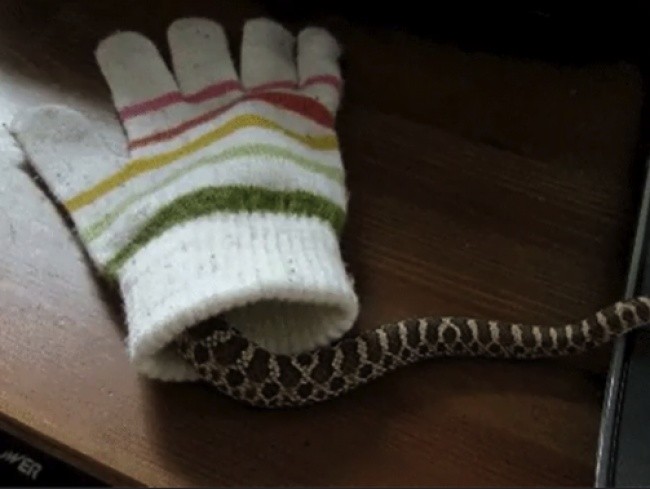 Bạn thấy sao vè mùa đông của Úc