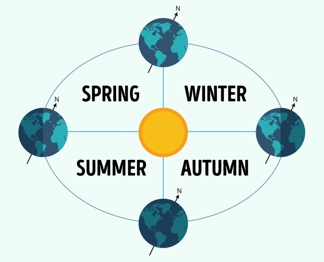 15 lầm tưởng sai bét mà nhân loại vẫn tin "sái cổ" ảnh 3