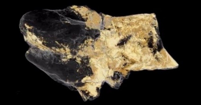 Top 8 khám phá khảo cổ khiến cả thế giới sửng sốt ảnh 1