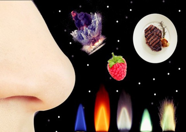 15 sự thật thú vị về vũ trụ, cuộc sống ảnh 7