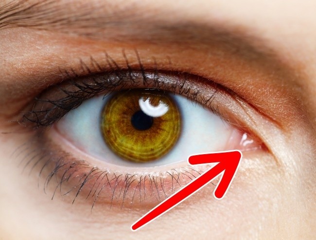 15 bộ phận trên cơ thể con người sẽ biến mất trong tương lai ảnh 13