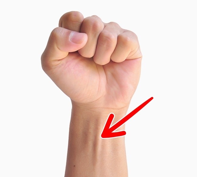 15 bộ phận trên cơ thể con người sẽ biến mất trong tương lai ảnh 6