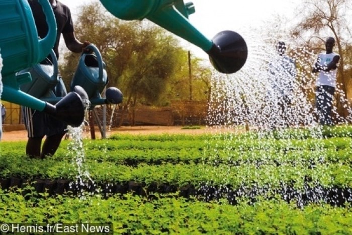 Hóa ra lâu nay chúng ta vẫn luôn hiểu sai về Châu Phi! ảnh 12